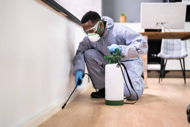 Best Emergency Pest Control  in Hoffman Estates, IL